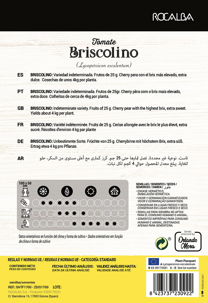 Cherry tomatoes Briscolino (Farmer) Rocalba 8 grains