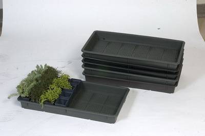 Propagator box